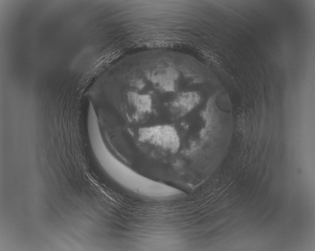 X0000051260687200507011719