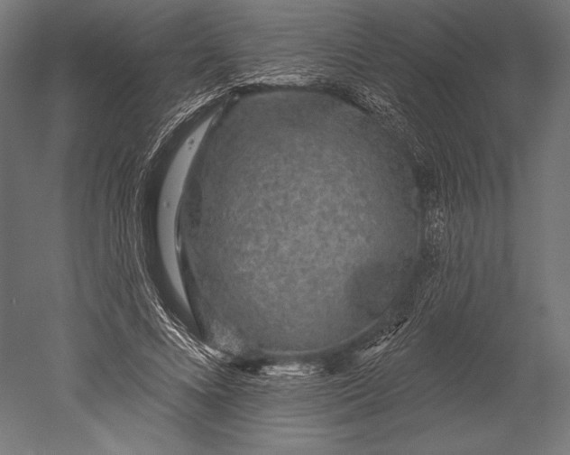 X0000051260688200507011719