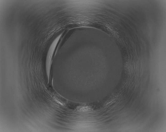 X0000051260689200507011719
