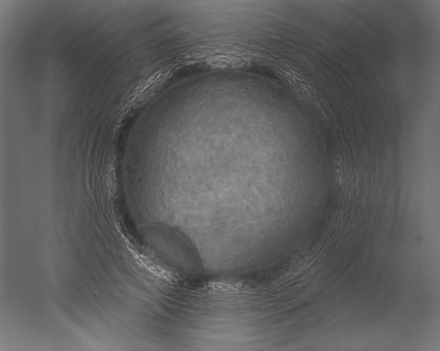 X0000051260690200507011719