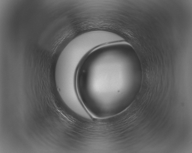 X0000051260691200507011719