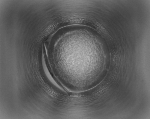 X0000051260693200507011719