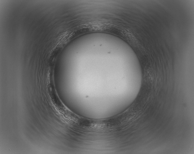 X0000051260694200507011719