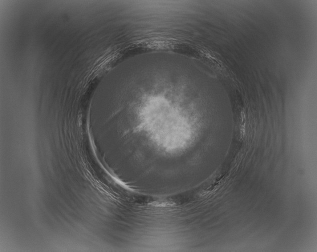 X0000051260696200507011719
