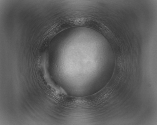 X0000051260697200507011719
