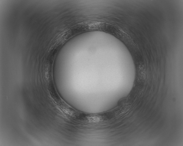 X0000051260698200507011719