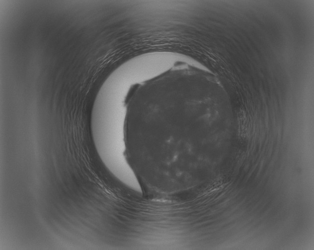 X0000051260699200507011719