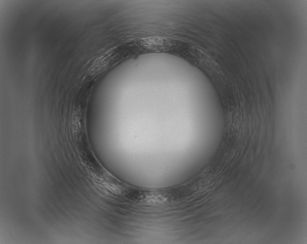 X0000051260702200507011719