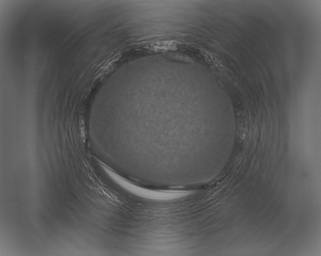 X0000051260704200507011719