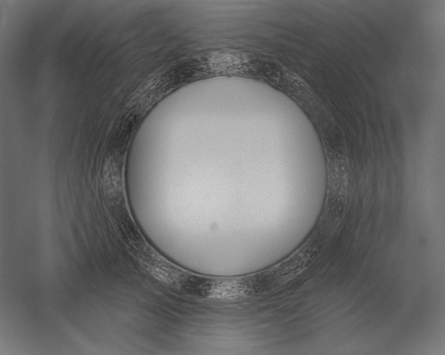 X0000051260705200507011719