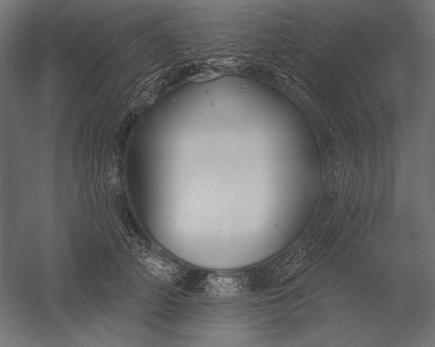 X0000051260706200507011719