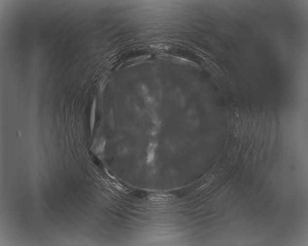 X0000051260707200507011719