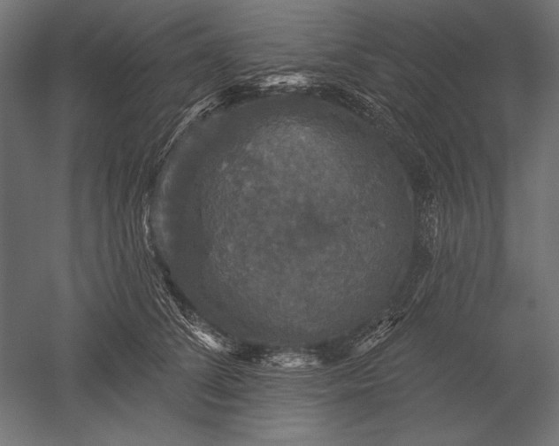 X0000051260708200507011719
