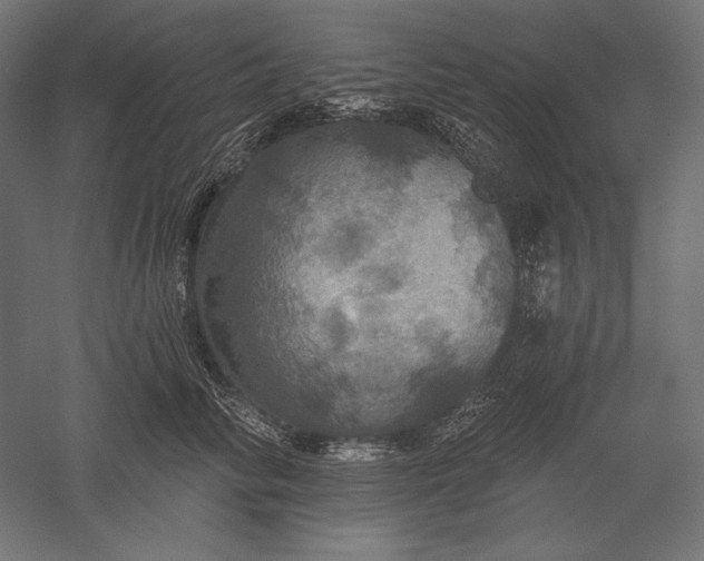 X0000051260710200507011719