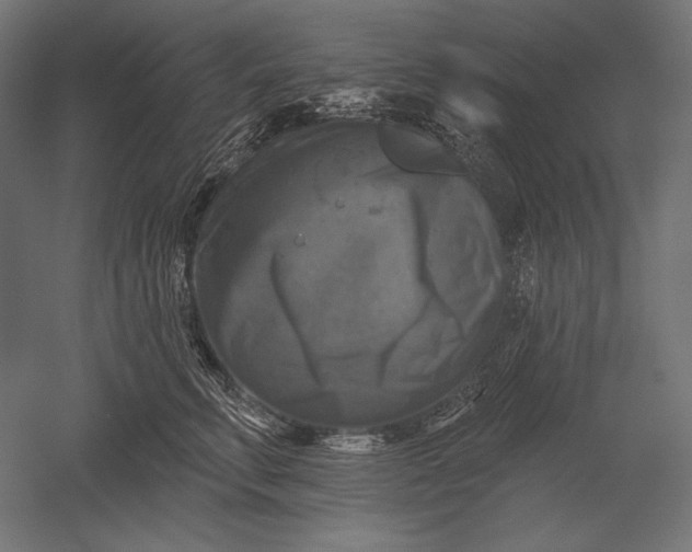 X0000051260711200507011719