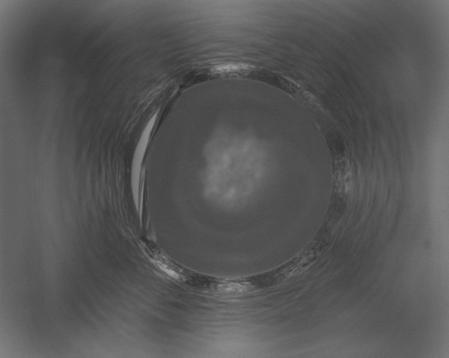 X0000051260716200507011718
