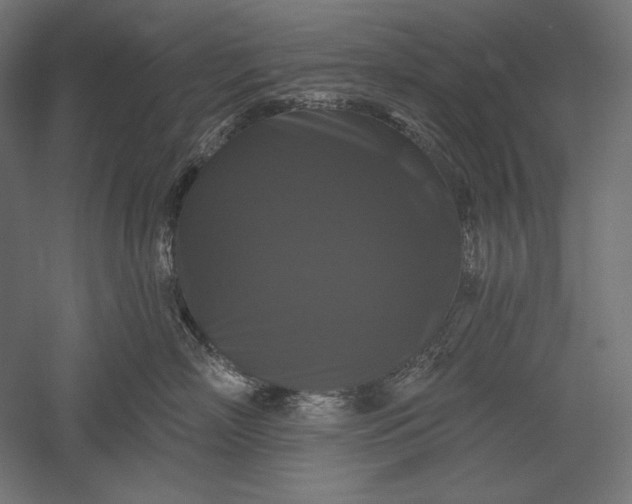 X0000051260718200507011718