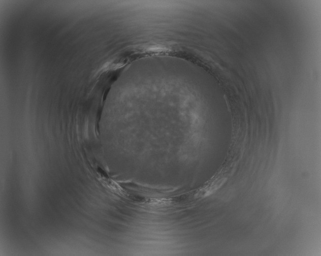 X0000051260720200507011718