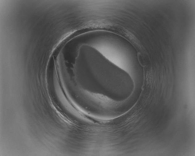 X0000051260722200507011718