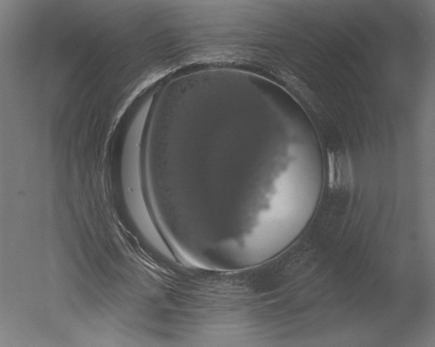 X0000051260723200507011718