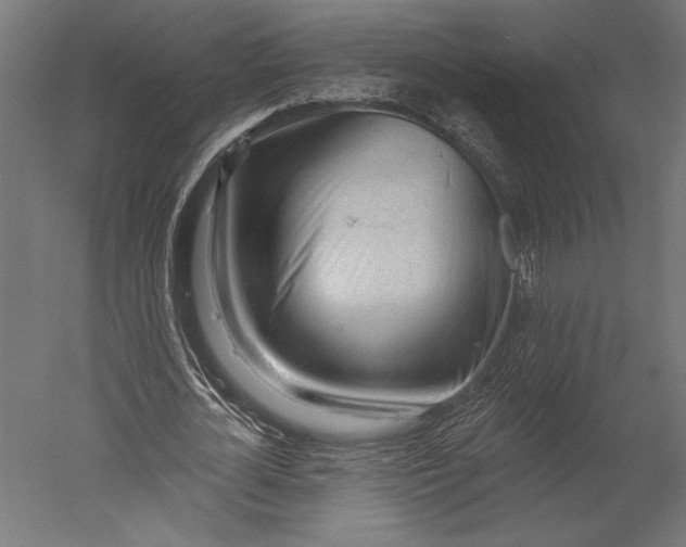 X0000051260724200507011718