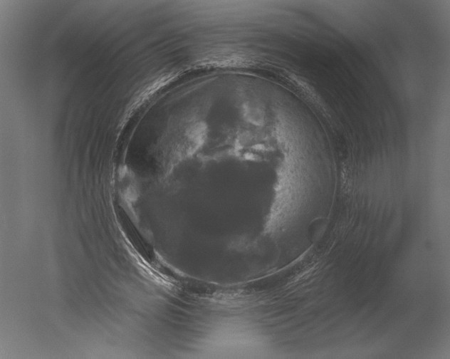 X0000051260725200507011718
