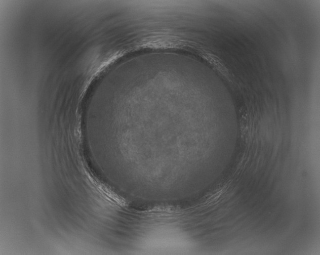 X0000051260727200507011718