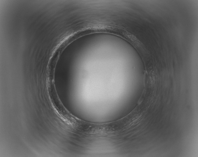 X0000051260728200507011718