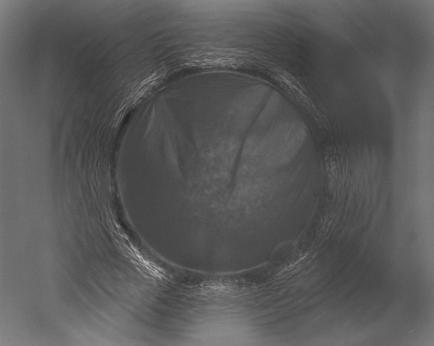 X0000051260729200507011718