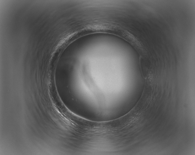 X0000051260732200507011718