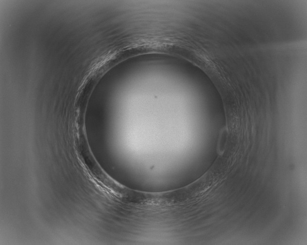 X0000051260736200507011718