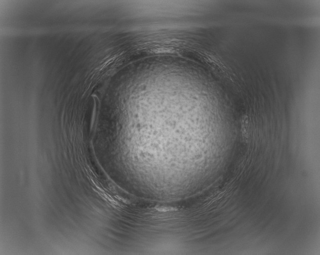 X0000051260741200507011718