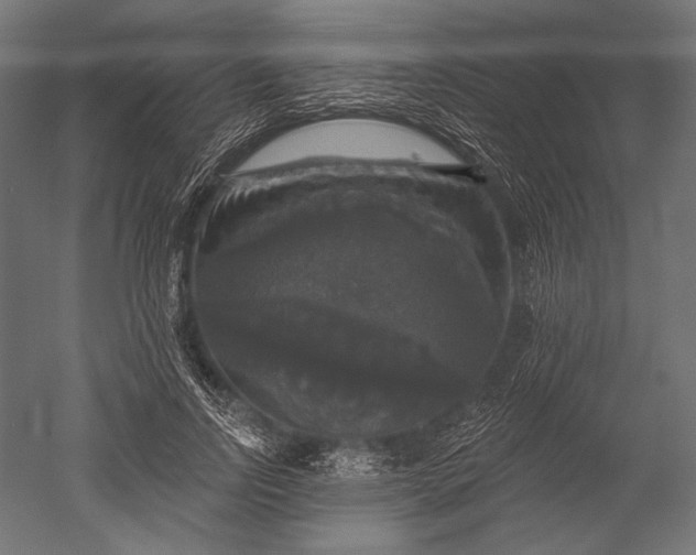 X0000051260742200507011718