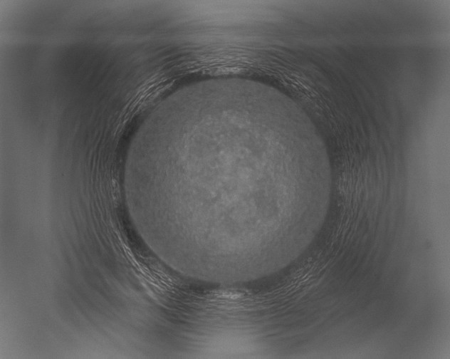 X0000051260743200507011718