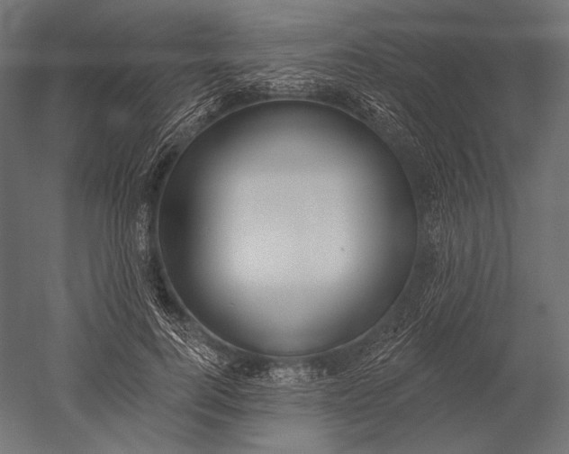X0000051260744200507011718
