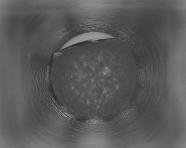 X0000051260745200507011718