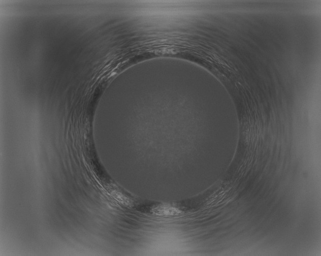 X0000051260747200507011718