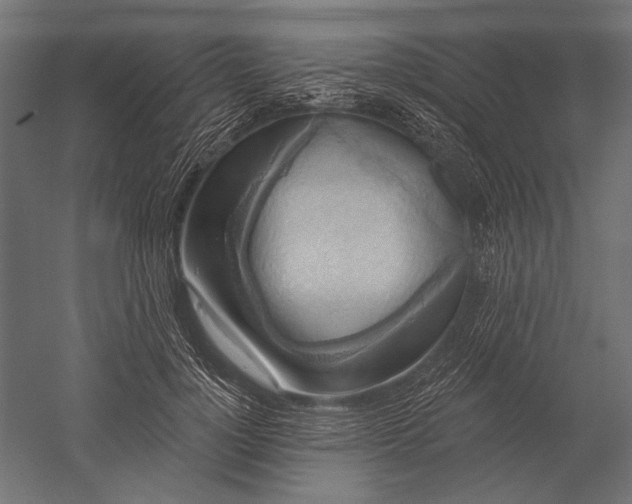 X0000051260748200507011718