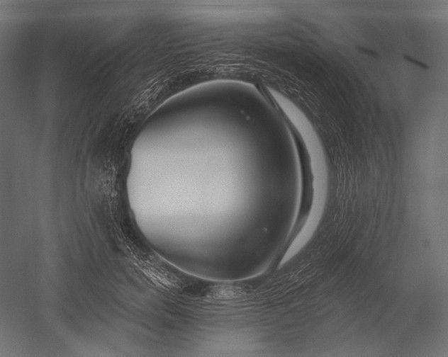 X0000051260750200507011718