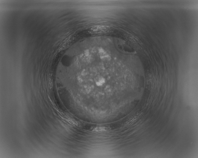 X0000051260751200507011718