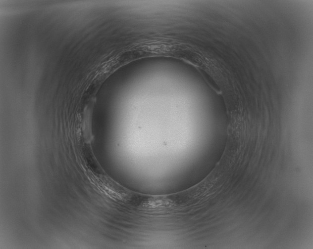 X0000051260752200507011718