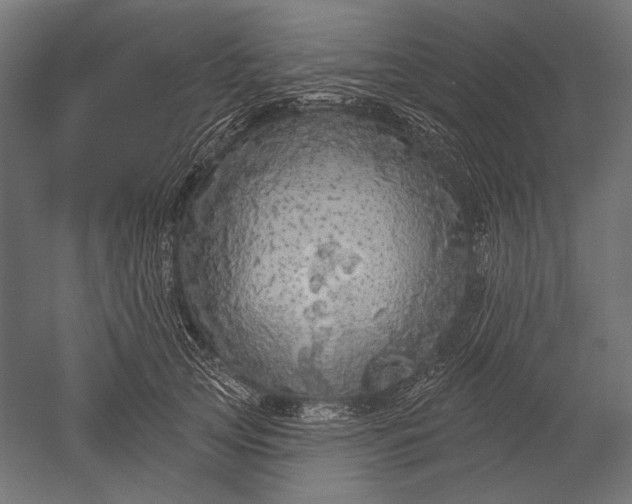X0000051260753200507011718