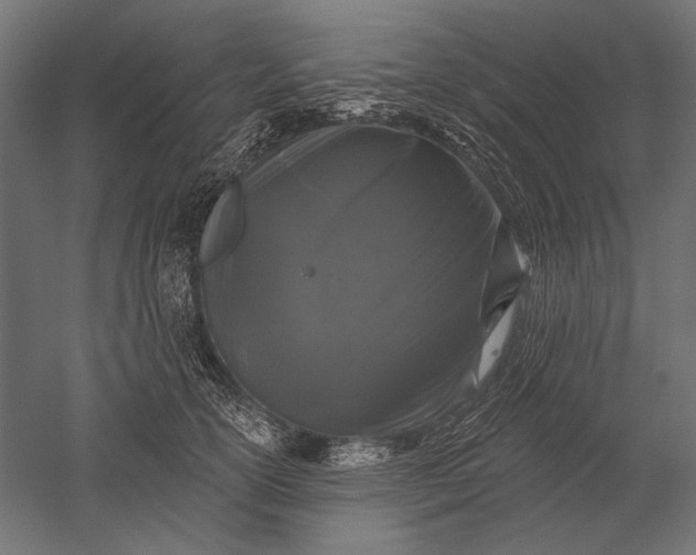 X0000051260754200507011718