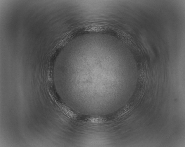 X0000051260755200507011718