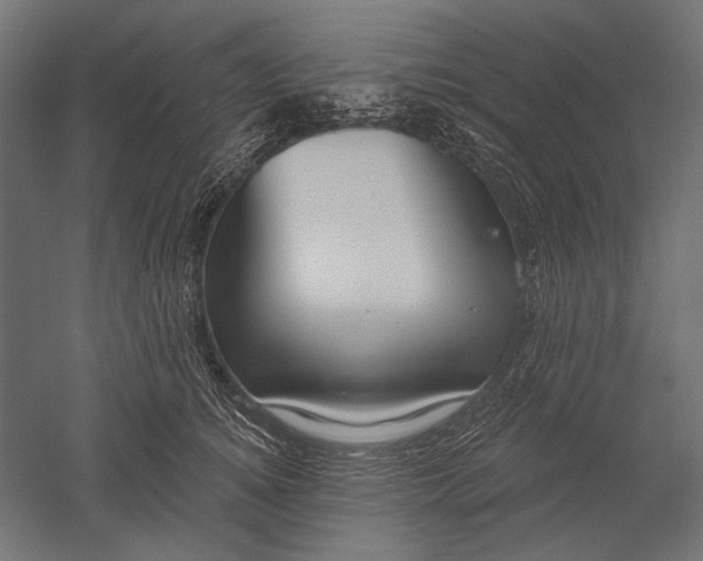X0000051260756200507011718
