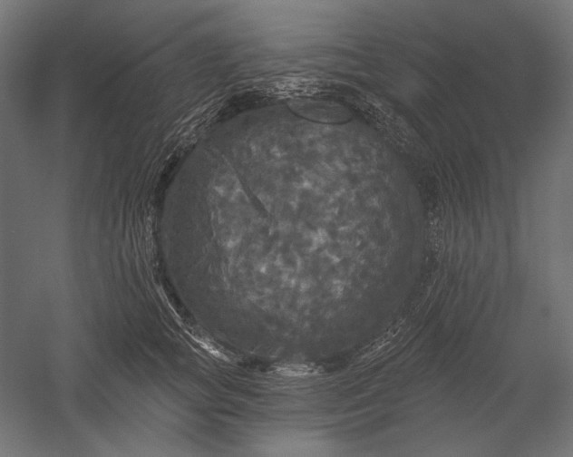 X0000051260757200507011718
