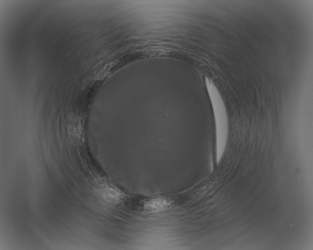 X0000051260759200507011718
