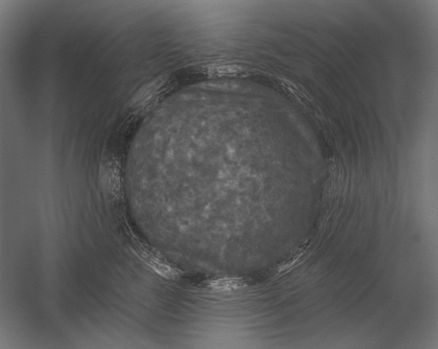 X0000051260761200507011718