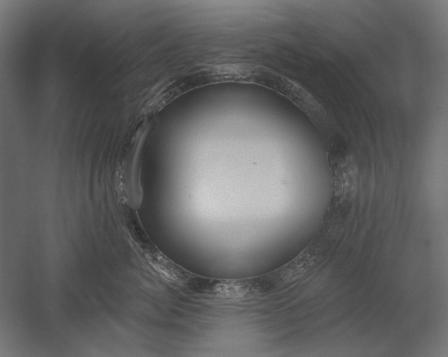 X0000051260764200507011718
