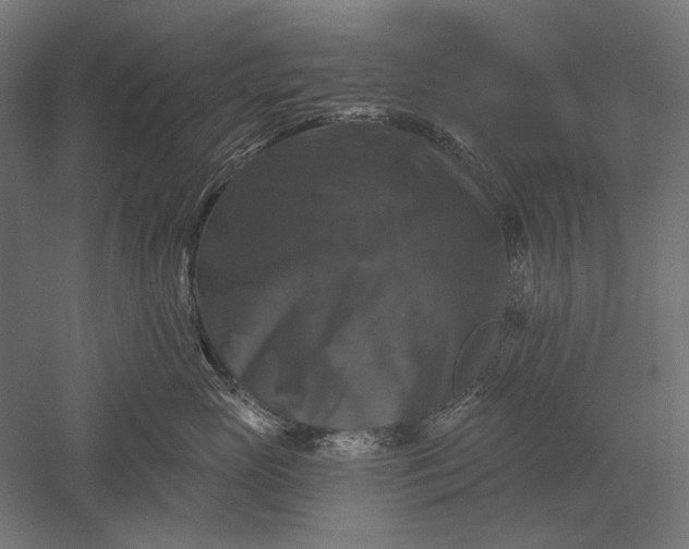 X0000051260765200507011718